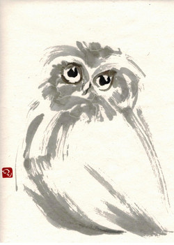 Pat's Owl
