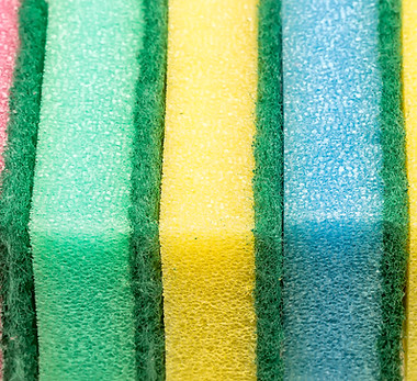 Sponges