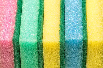 Sponges