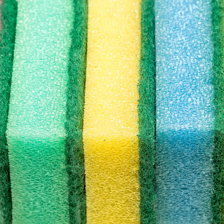 Sponges