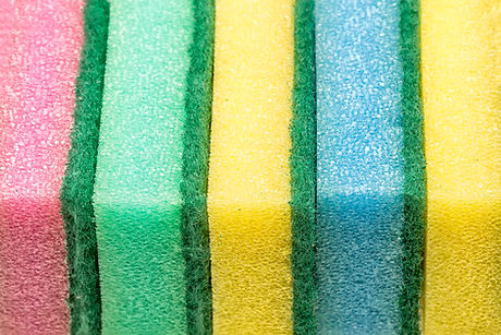 Sponges