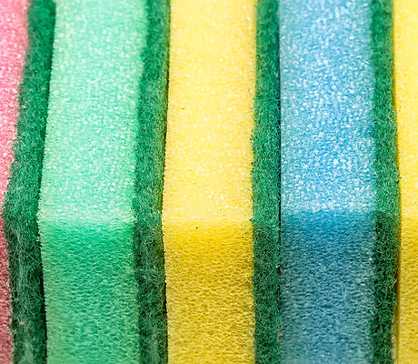 Sponges