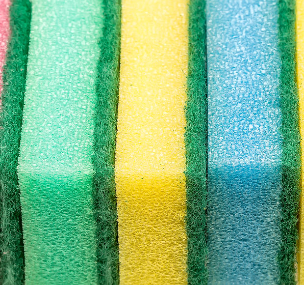 Sponges