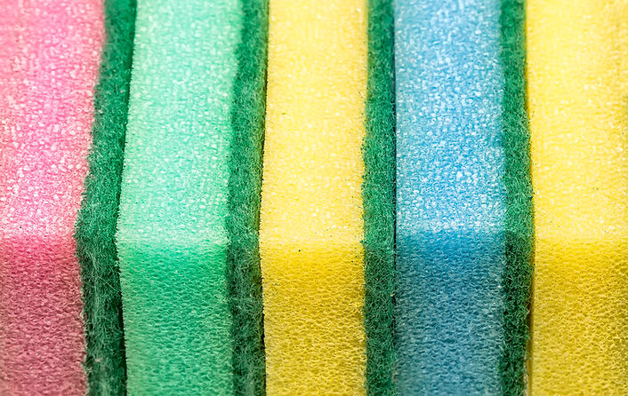 Sponges