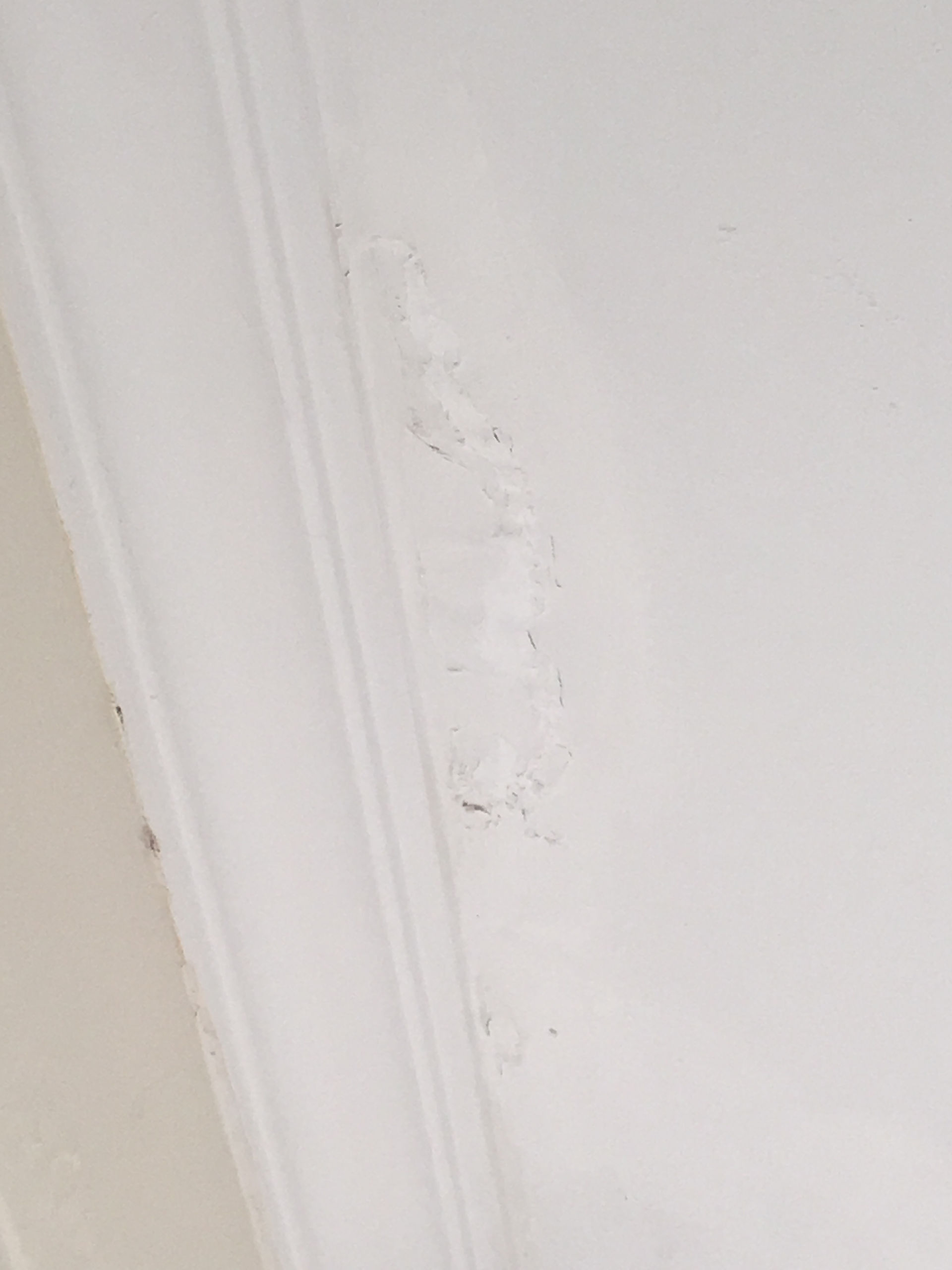 Water ingress problems such as ceiling leaks and paint damage being experienced at this residential unit in Northbridge.