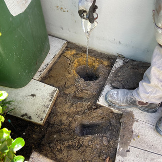 Investigation Into Moisture Damage, Cottesloe
