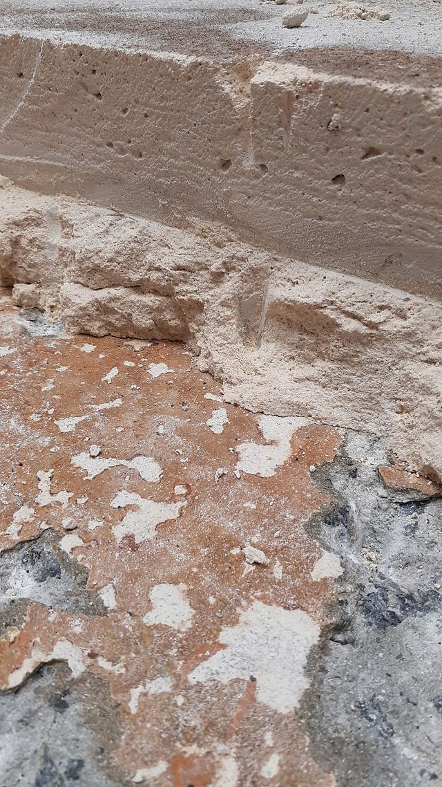 Building repair diagnostics