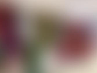 Our Christmas grotto opens!