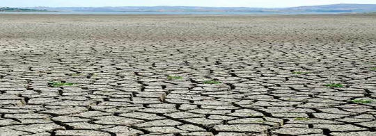 The droughted land.