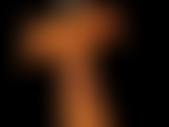 ഡോം ലൂയിസിന്റെ ഭ്രാന്തിന് സ്തുതി!