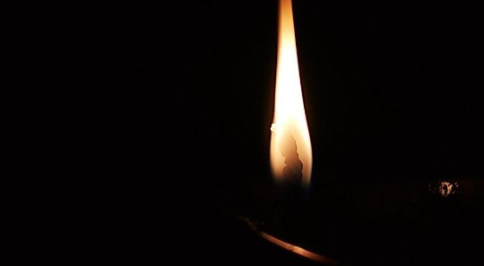 The lamp light.
