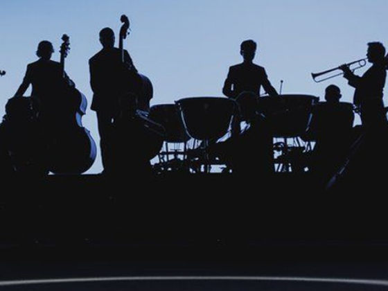 Musical Orchestra