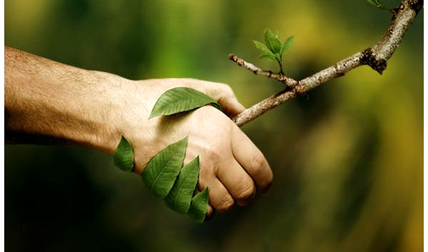 Bond between Humans and Trees