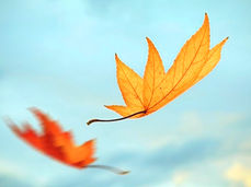 മരിക്കുന്നത് ഇനി നിര്‍ത്തി