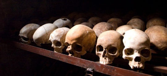 Rwandan genocide.