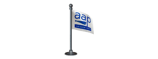 Aam Aadmi Party Flag.
