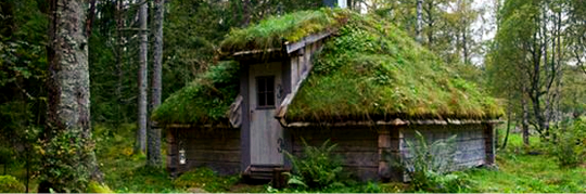 Green house.