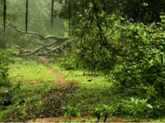 ദൈവത്തിന്റെ പ്രതിച്ഛായ