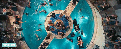 giphy (4).gif