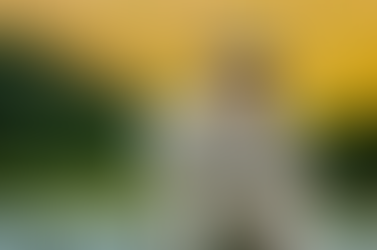 KALEO Let Legacy Breathe Again With "A/B (10th Anniversary Deluxe)"