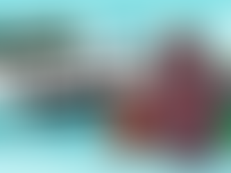 Yeti Picks of the Week for January 28th, 2026