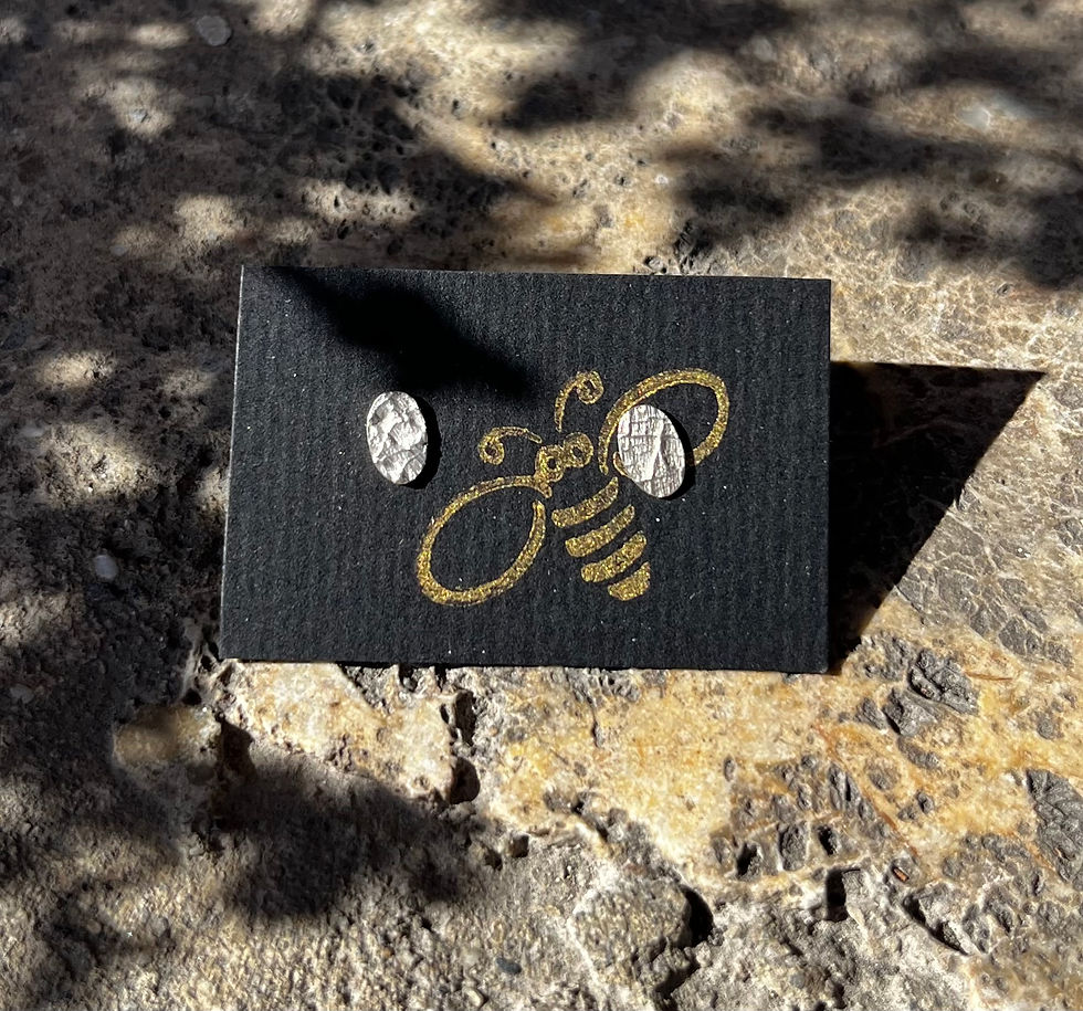 Miniature : Clous d'Oreilles "Petite écroce"