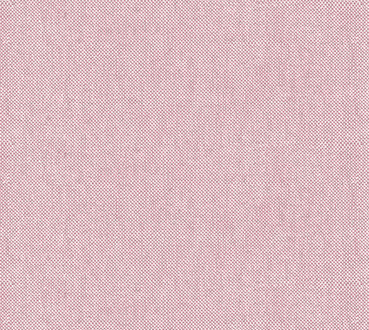 ROSA.jpg