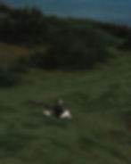 personinnature.jpeg
