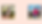 Trainer (3).png