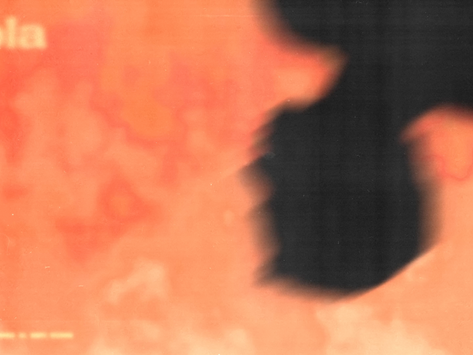 GEMINI(제미나이) - Hola