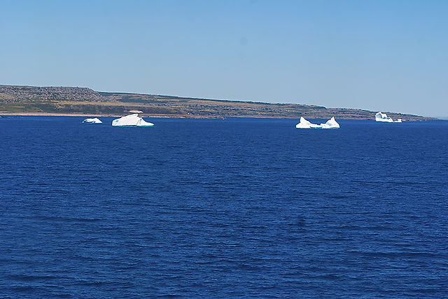 ICEBERG2WEB