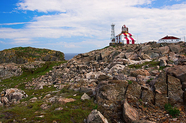 BONAVISTA7WEB