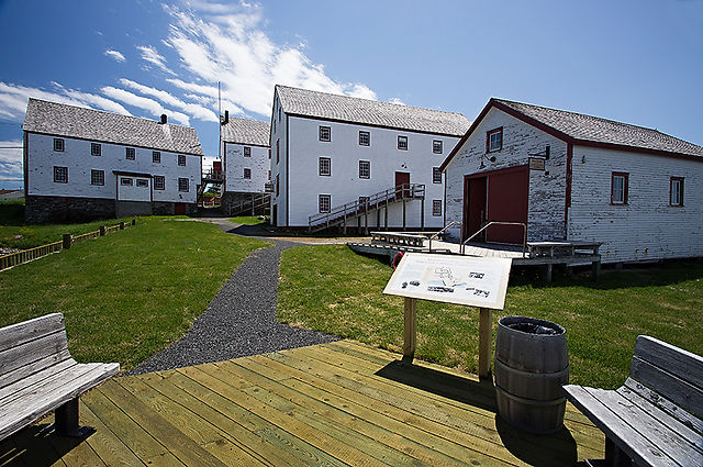 BONAVISTA_RYANPREMISES_WEB