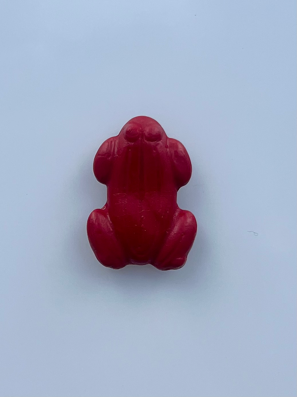 Large Red Frog Magnet