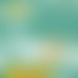 宣教的回響-全球華人浸信會宣教大會之後