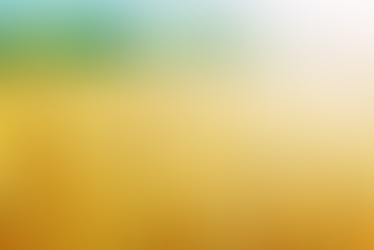    麥子家書41(2025年8月)