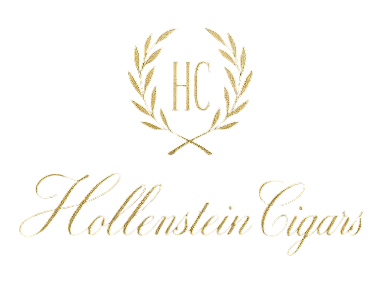 Logo_HC_Draft - bearbeitet.png