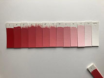 WhatsApp Image 2021-10-18 at 7.52.24 AM.jpeg