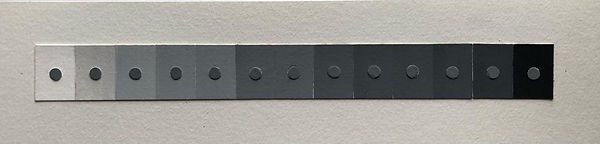 WhatsApp Image 2021-10-18 at 6.51.52 AM (1).jpeg