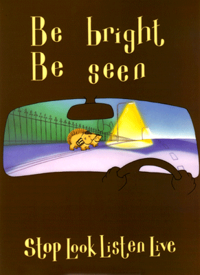BeBrightBeSeen.gif