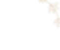 Frame 14526.png