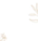 Frame 14527.png