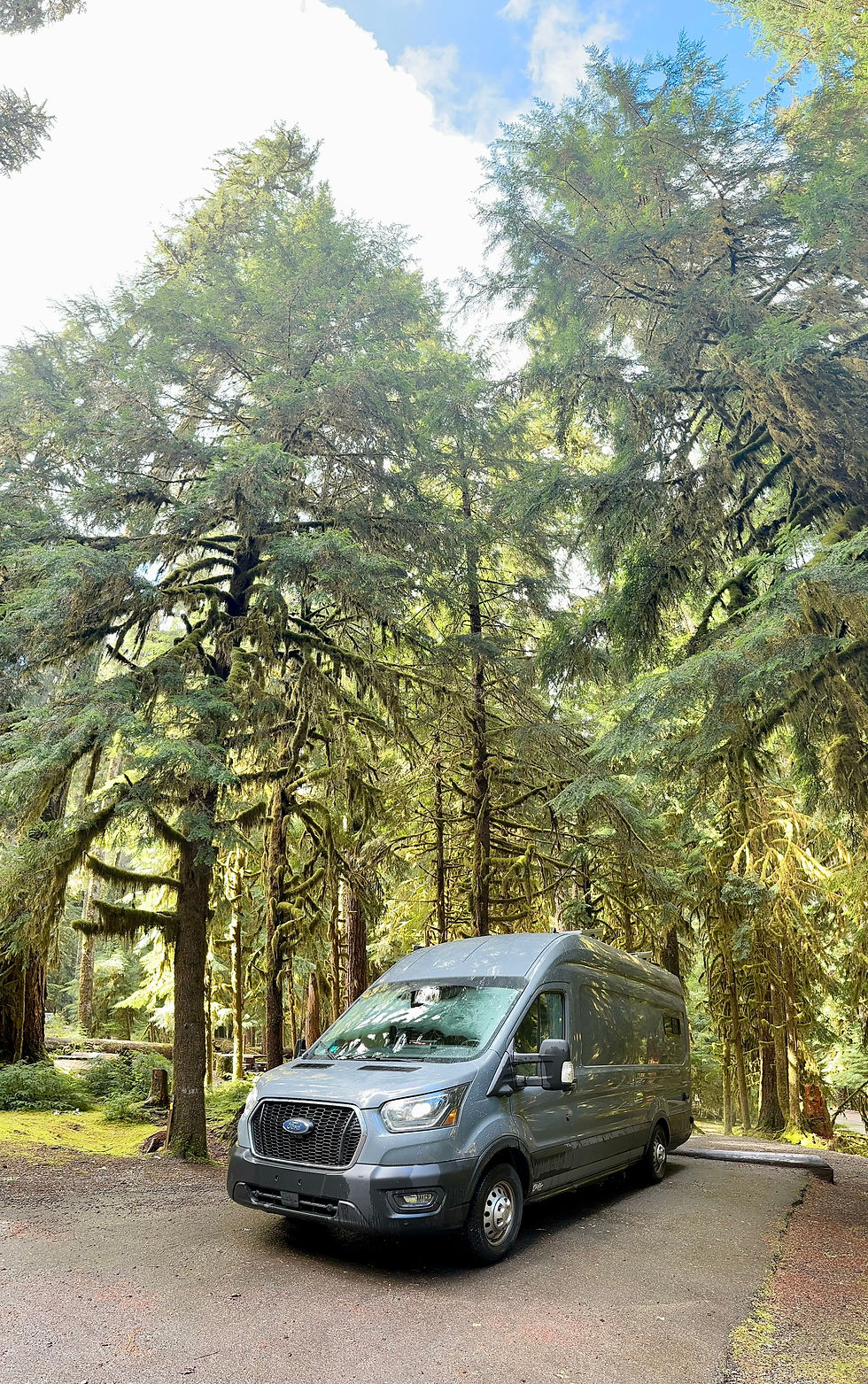 Mallory and Matt's Drifter Van parked in the picturesque Alaskan forest, surrounded by towering trees and natural beauty.
