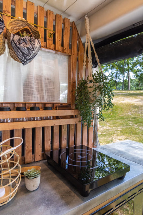 Camper van kitchen with wood paneling, plants, and black faucet.