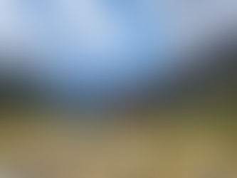 Travel nurse van life – Tess standing in the mountains with her dog Teva beside their custom Class B motorhome