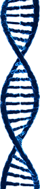 pngwing.com (2).png