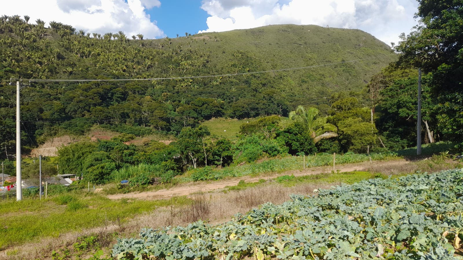 LOTE Próx a Cervejaria Grupo Petrópolis