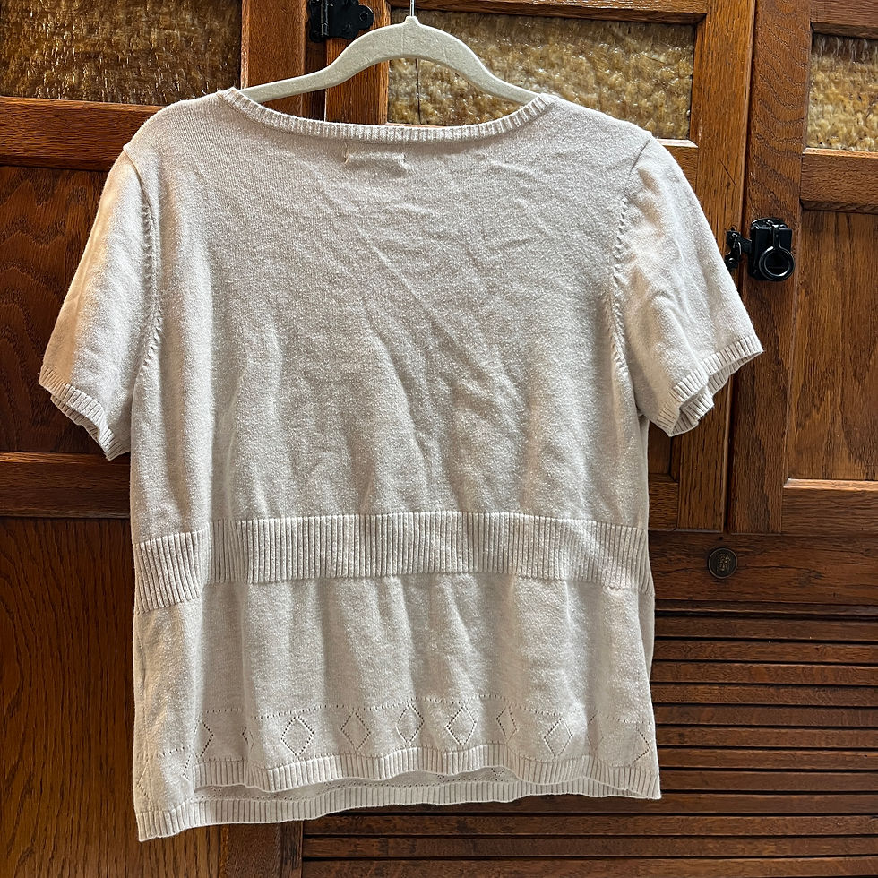 Thumbnail: Embroidered Top (L)