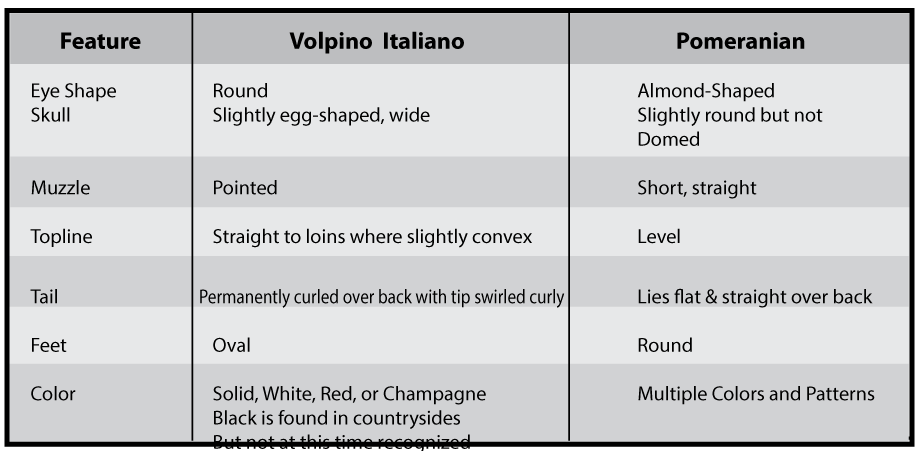 breed-comparison.gif