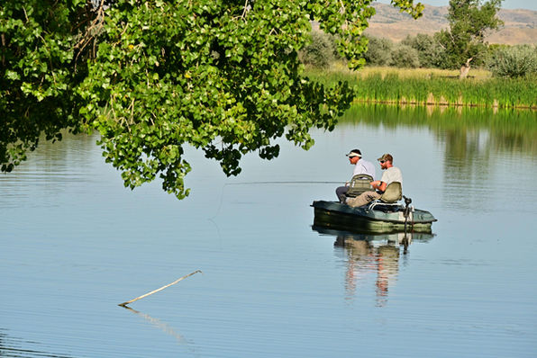 1156BIGHORN  2021 B&C BECK IMAGE.jpg